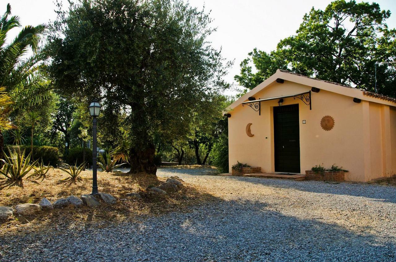 Pathirion B&B Rossano Exterior foto