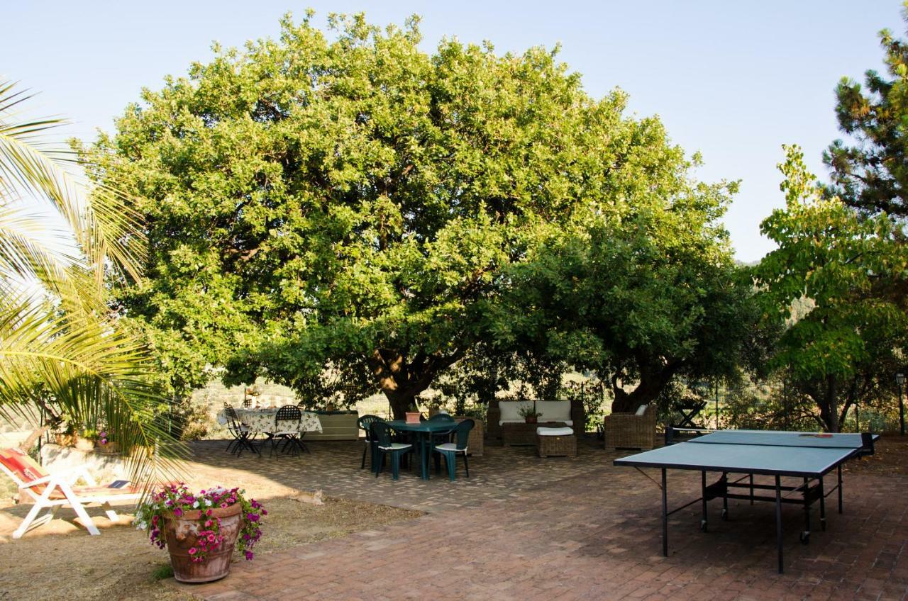 Pathirion B&B Rossano Exterior foto